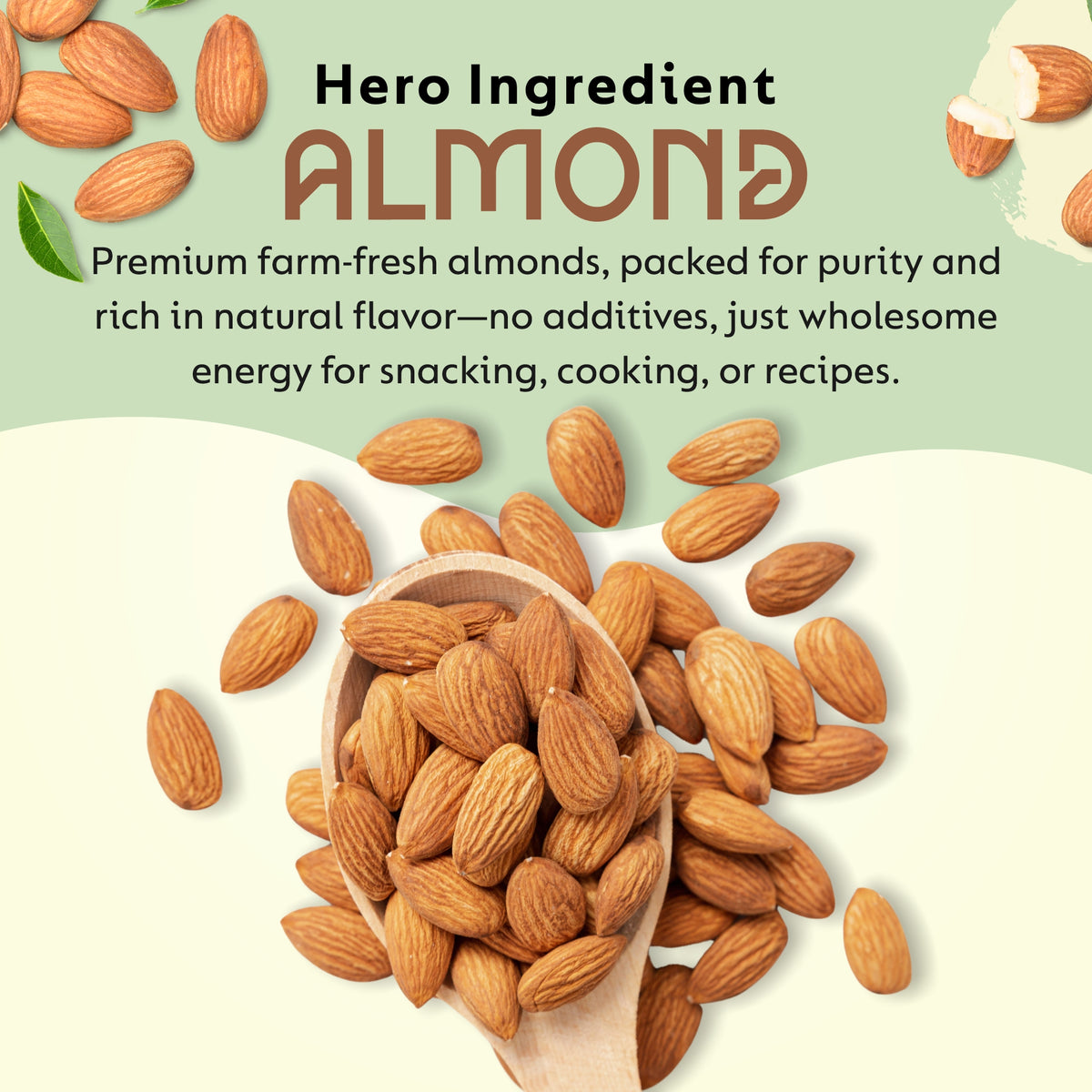 The Essence Pantry Premium Almonds close up